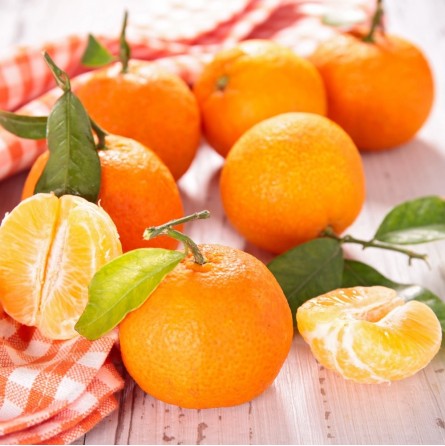 Clementine senza semi: acquista online su FruttaWeb.com