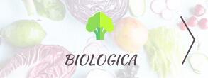Frutta e Verdura Biologica