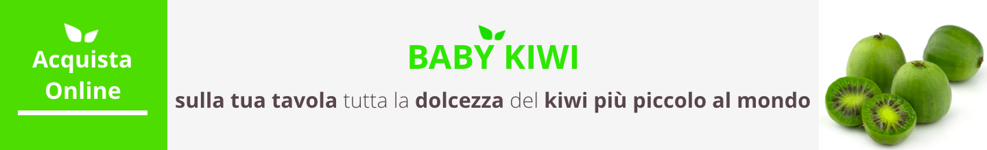 mini kiwi acquista online fruttaweb
