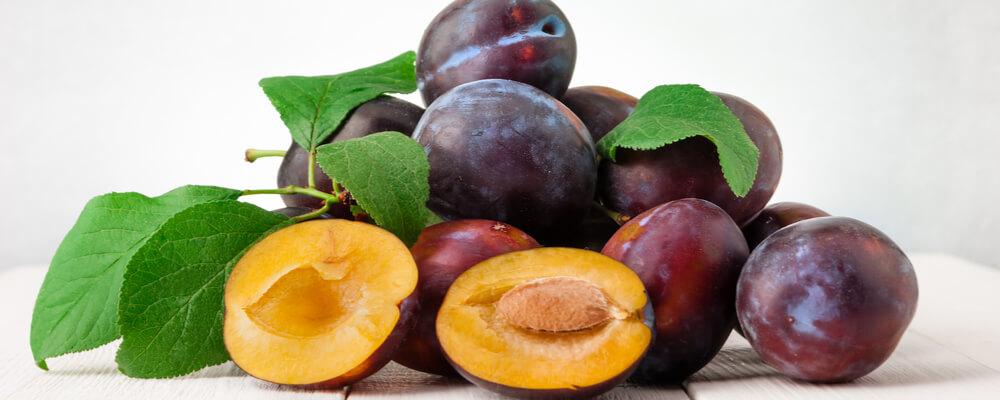 susine acquista online fruttaweb