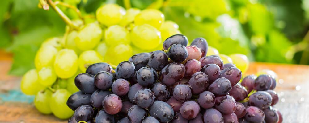 uva acquista online fruttaweb