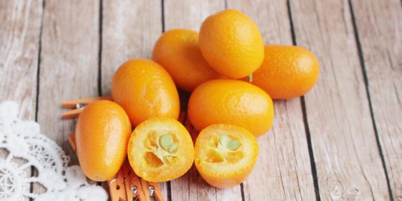 kumquat acquista online fruttaweb